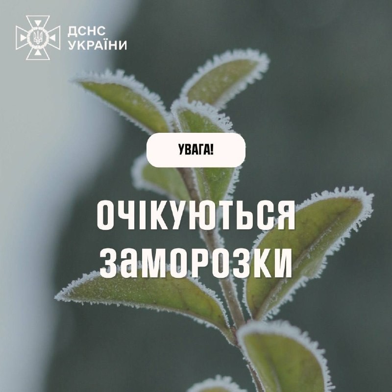 Заморозки до 3 градусів очікуються в більшості областей України